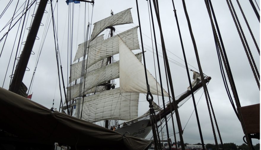 Projektbild 3, 08 | 16 Teilnahme Hanse Sail # Büroausflug | Rostock