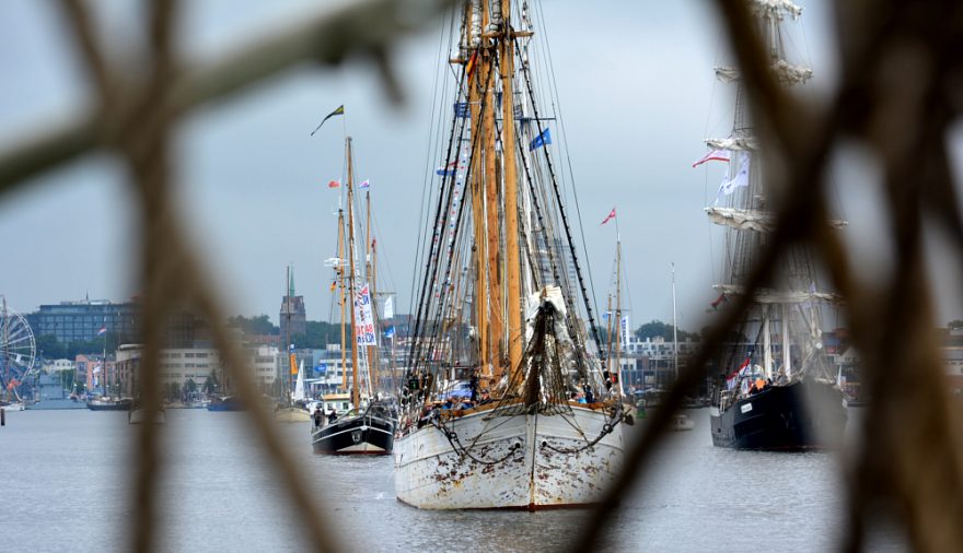 Projektbild 7, 08 | 16 Teilnahme Hanse Sail # Büroausflug | Rostock