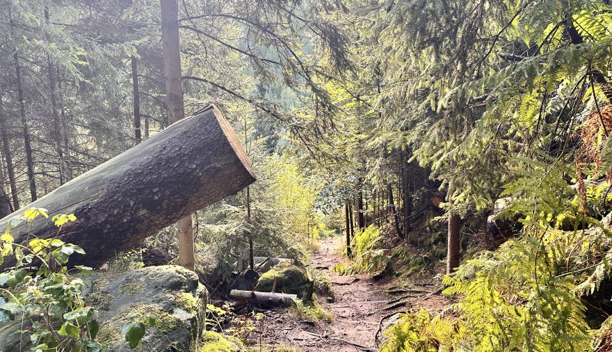 Projektbild 11, 09 | 26 Firmenausflug # Elbsandsteingebirge Bad Schandau