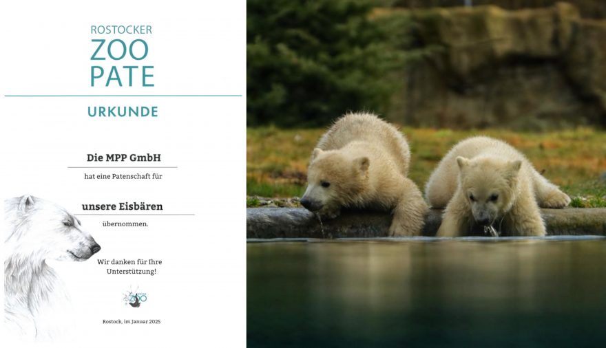 Projektbild 1, 01 | 25 Patenschaft Rostocker Zoo # Zoo Rostock
